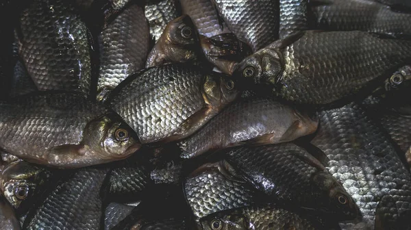 Pile Dead Crucian Carp Sink Cooking Fish Dishes Process — Stock Photo, Image