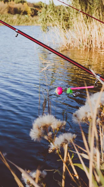 秋に湖に鐘を持つ釣竿 ビネット付きのトーン写真 — ストック写真