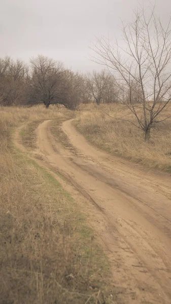 Donkere Herfstfoto Van Een Oude Zandweg Gloomy Koud Bomen Zonder — Stockfoto