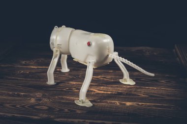 Ahşap bir arka planda robot bir köpeğin plastik çerçevesi. Yan tarafında kırmızı düğme var. Sert ışıklandırmalı bir stüdyo fotoğrafı..