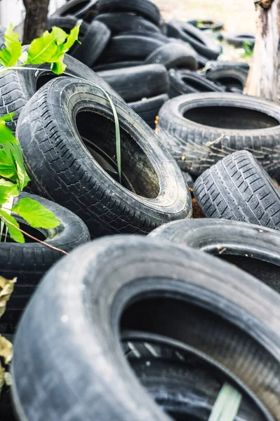 Monte Pneus Velhos Carros Usados Poluição Ambiental Pneus Basculantes — Fotografia de Stock