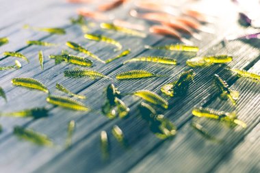 Ahşap arka planda silikon yemlerin güzel görüntüsü. Stüdyo fotoğrafı
