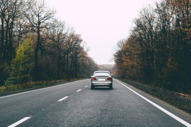 Sonbahar yolu manzarası. Arabadan bak.