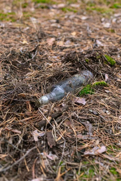 Γυάλινο Μπουκάλι Στο Έδαφος Ένα Πευκοδάσος — Φωτογραφία Αρχείου