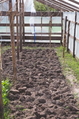 Kendi küçük seranı kendin yap. Toprak ekime hazır..