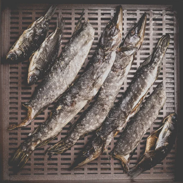 Process Preparing Dried Fish Automatic Dryer Home — Stock Photo, Image