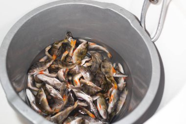 Daha fazla kurutmak için suya batırılarak balıktan fazla tuz çıkarma süreci. Evde kurutulmuş balık pişirmek..