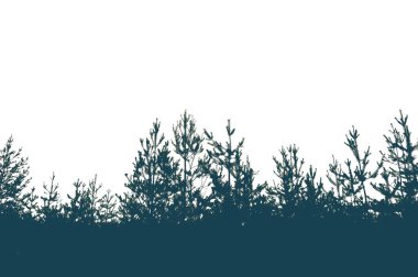 Çam ormanı ve gökyüzünün silueti. Metin için yer