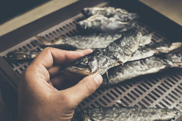 Processo Preparação Peixe Seco Com Secador Automático Casa — Fotografia de Stock