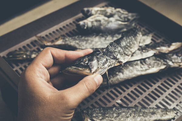 The process of preparing dried fish with an automatic dryer at home.