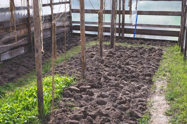 Pequeño Invernadero Hágalo Usted Mismo Terreno Preparado Para Plantación — Foto de Stock