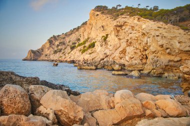 Güneşli bir akşamın fotoğrafları.