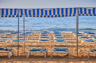 Güneşli bir akşamın fotoğrafları.