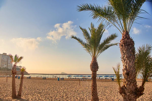 Foto Van Een Avondstrand Zonnige Dag — Stockfoto