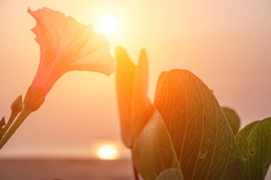 Mavi gökyüzünde hava bulutları soyut bir şekilde.