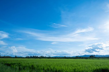 Mavi gökyüzünde hava bulutları soyut bir şekilde.