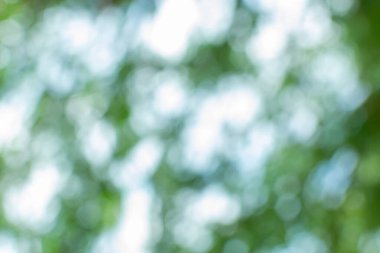 Tasarım için doğa arkaplan resimleri soyut bulanık ve bokeh