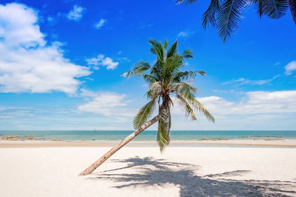 Кокосовые Деревья Тени Пляже Хуа Хин Таиланд — стоковое фото
