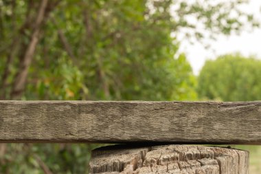 Yeşil bokeh ile ahşap arkaplan.