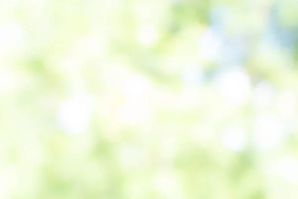 Tasarım için doğa arkaplan resimleri soyut bulanık ve bokeh