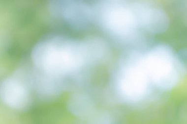 Tasarım için doğa arkaplan resimleri soyut bulanık ve bokeh