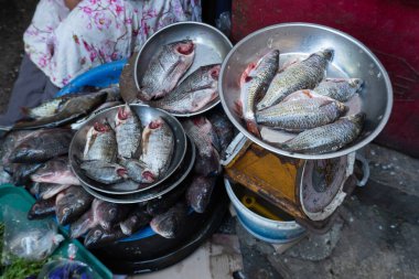 Taze balık pullara konur..
