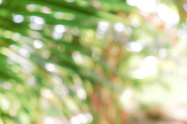 Tasarım için doğa arkaplan resimleri soyut bulanık ve bokeh