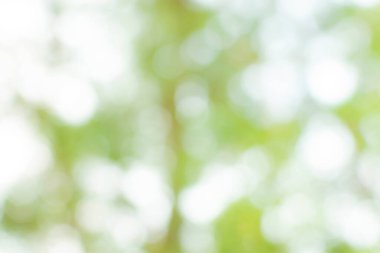 Tasarım için doğa arkaplan resimleri soyut bulanık ve bokeh.