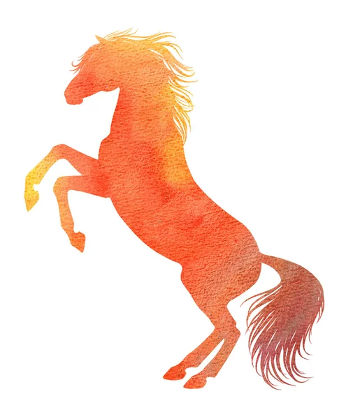 Silhouette de cheval aquarelle — Photo