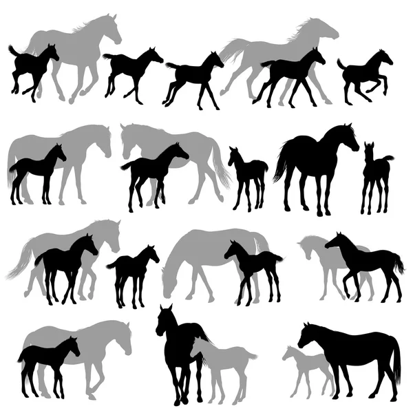 Mares annd csikók sziluettek másolása — Stock Vector