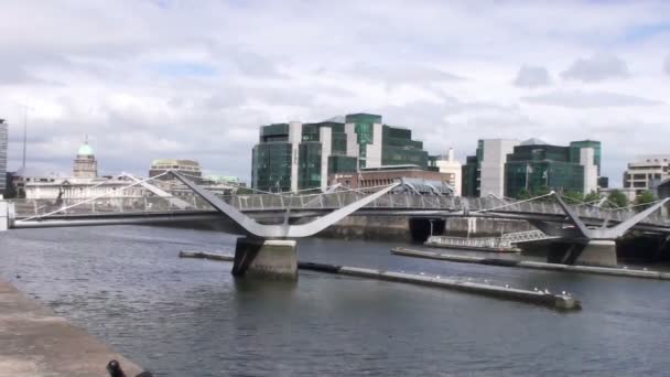 Custom House Dublin — Stock Video