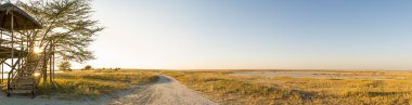 Afrika Safari Panorama