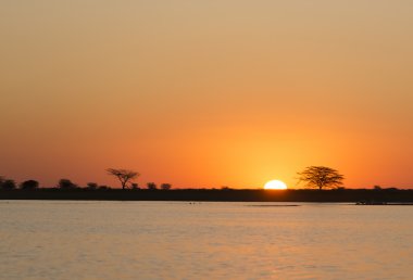 Botsvana günbatımı Afrika