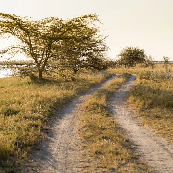 Afrika weg zonsondergang — Stockfoto
