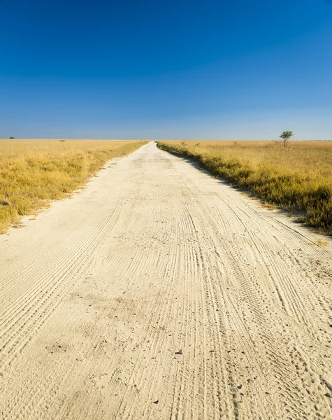 Camino de llanuras de África — Foto de Stock