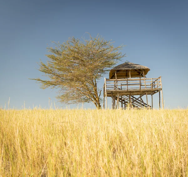 Africké Safari chatě — Stock fotografie