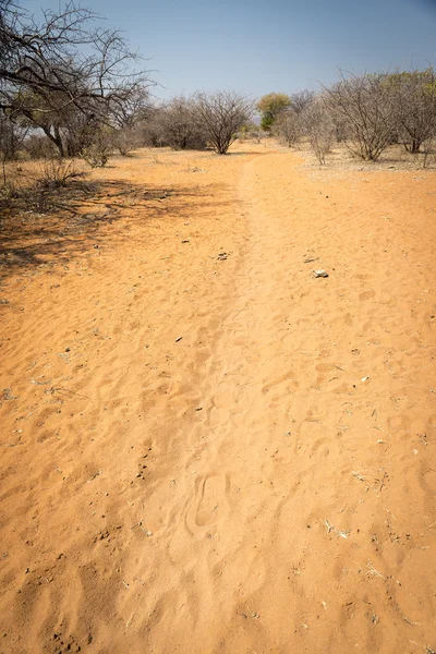 Faixas Sujeira Laranja Deserto Africano Botsuana Rural África — Fotografia de Stock