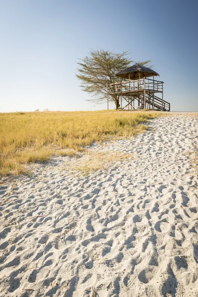 Afrika Safari görünümü — Stok fotoğraf