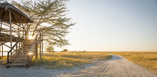 Afrika safari peyzaj — Stok fotoğraf