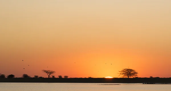 Botswana África al atardecer —  Fotos de Stock