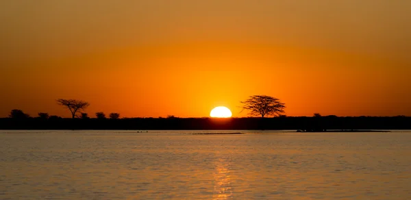 Botswana Coucher de soleil Sky — Photo