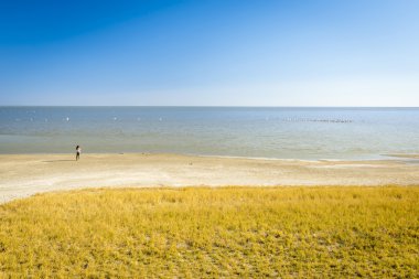 Göl kenarındaki Botswana, Afrika Safari iken Makgadikgadi tavada üzerine bakan kadın durumda