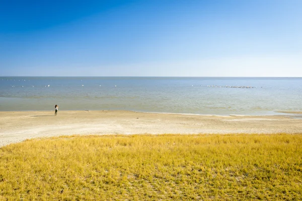 Woman Stands Lake Edge Looking Out Makgadikgadi Pan Botswana Africa — Stock Photo, Image