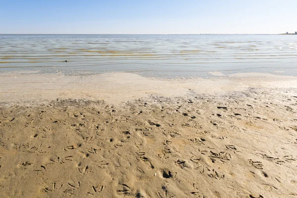 Makgadikgadi Pan Botsuana — Fotografia de Stock