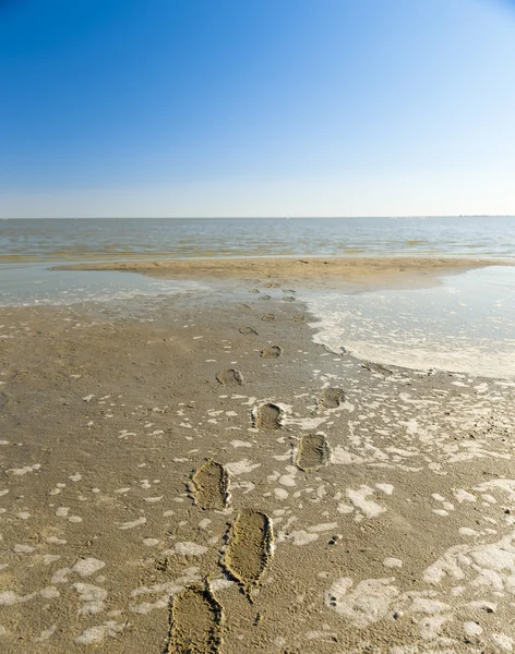 Makgadikgadi Pan Μποτσουάνα Αφρική Καλύπτεται Από Νερό Σχηματίζει Μια Τεράστια — Φωτογραφία Αρχείου