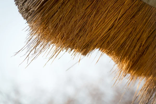 Thatched detalhes do telhado — Fotografia de Stock