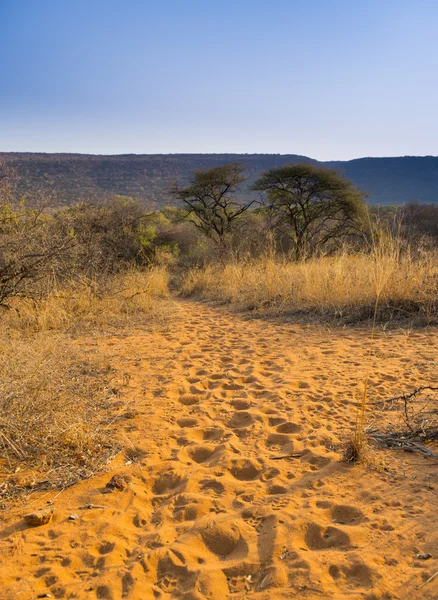 Paysage africain Paysage scénique — Photo