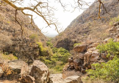 Moremi Gorge Botsvana 