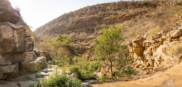Moremi ущелині Ботсвани — стокове фото