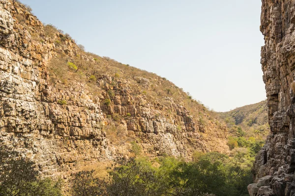 Gola dell'Avvoltoio Botswana Africa — Foto Stock